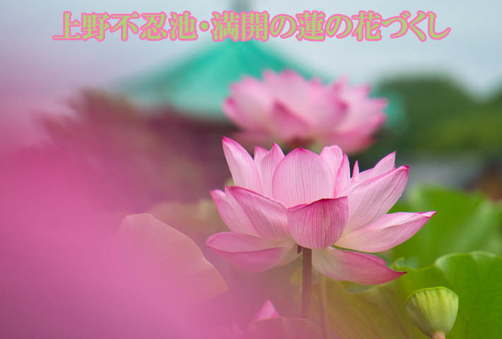1_20250715195332440.jpg